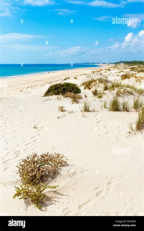 Beach at Monte Gordo, Algarve, Portugal Stock Photo - Alamy