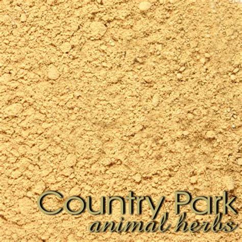 Burdock Root Powder 1kg - Country Park