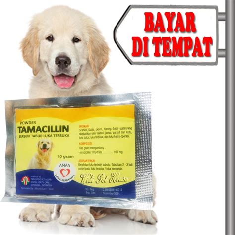 Jual Obat Luka Bakar Infeksi Kulit Anjing Tamacillin Shopee Indonesia