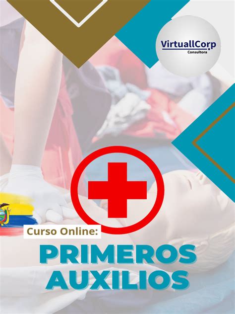 Primeros Auxilios Brochure Ecuador Pdf Primeros Auxilios Medicina