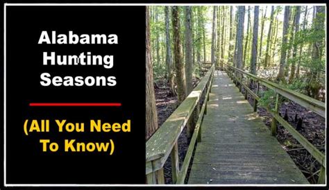 Alabama Hunting Seasons Updated Schedule Huntingseasons Org