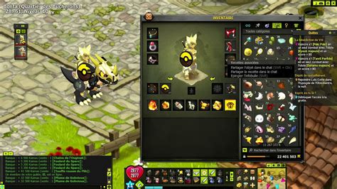 Dofus Le Stuff De Ma Sadida Force Chance Lvl Youtube