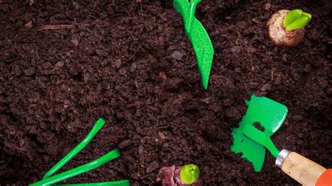 Which Soil Is Best For Growing Plants At Thomas Boone Blog