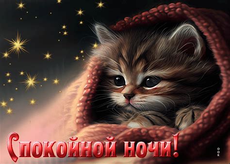 snogsshibatelnaya otkrytka  kotikom spokoynoy nochi skachat besplatno