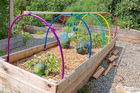 How to Build a DIY Hoop House for Raised Beds - Food Gardening Network