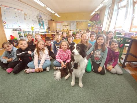 Projekt Schulhunde an der Grundschule Schöllnach Grundschule Schöllnach