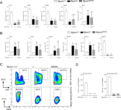 Hematopoietic Dysfunction And Altered Hematopoietic Progenitor Cell