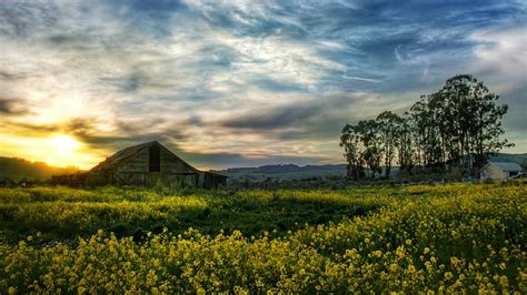 Trey Ratcliff K Fotograf A California Fondo De Pantalla Hd