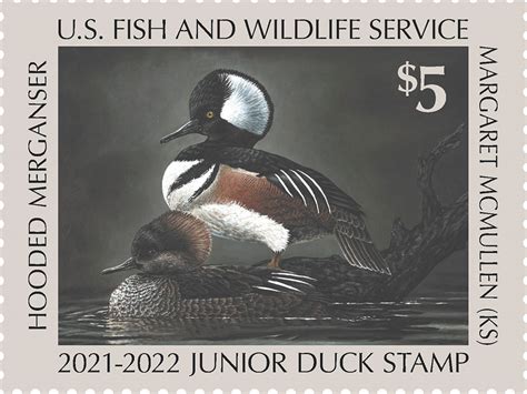 Jr Duck Stamp Art Contest-2022 - Fort Scott National Historic Site (U.S. National Park Service)