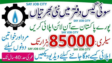 Sui Southern Gas Company Jobs 2024 Latest Jobs In SSGC 2024 How To