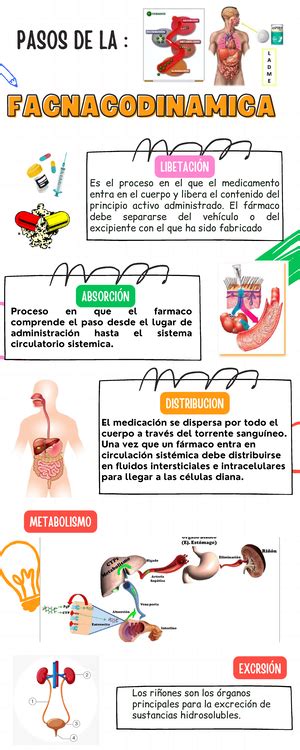 Solved O Cmo Puede El Personal De Rehabilitacin Identificar Los Malos