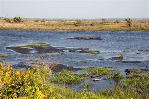 Awesome Isimangaliso Wetland Park In St Lucia South Africa Earth