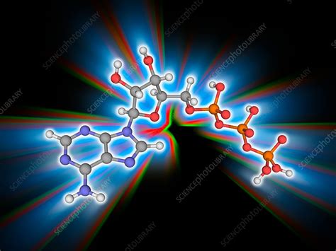 Adenosine Triphosphate Atp Molecule Stock Image F0170156