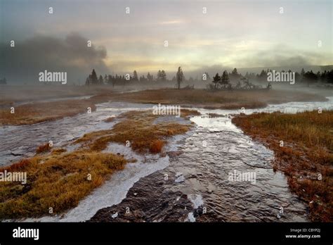 Yellowstone National Park Was Established In 1872 And Covers 3468