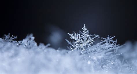 Real Snowflakes Wallpaper