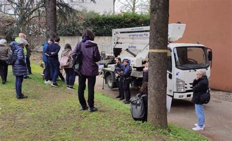 Le Proteste Salvano Dall Abbattimento Gli Alberi Di Codemondo FOTO