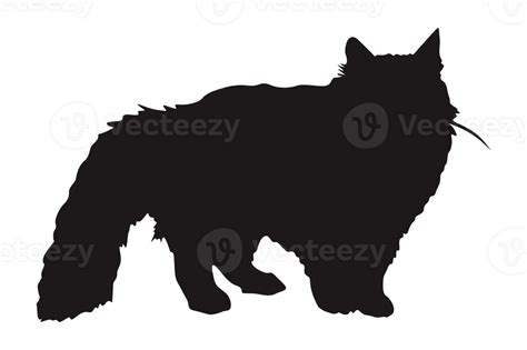 Cat Silhouette On Transparent Background Png