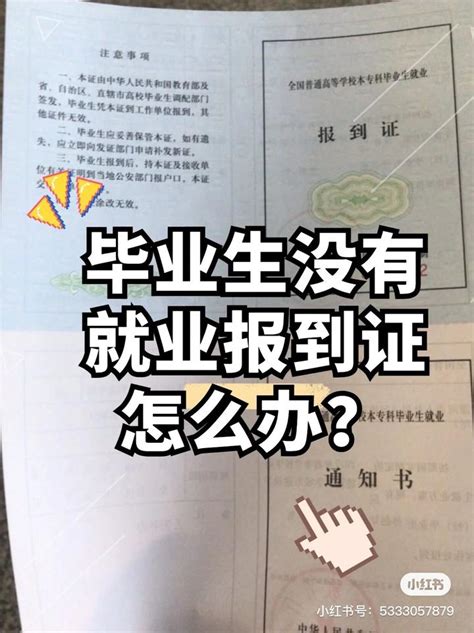 毕业生没有就业报到证怎么办？ 知乎