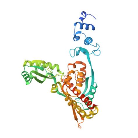 Rcsb Pdb Hwj Complex Of The Catalytic Portion Of Human Hmg Coa