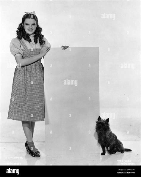 Judy Garland In The Wizard Of Oz 1939 Directed By Victor Fleming