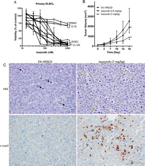 In Vitro Effects Of Ixazomib In Primary Dlbcl Cells And In Vivo