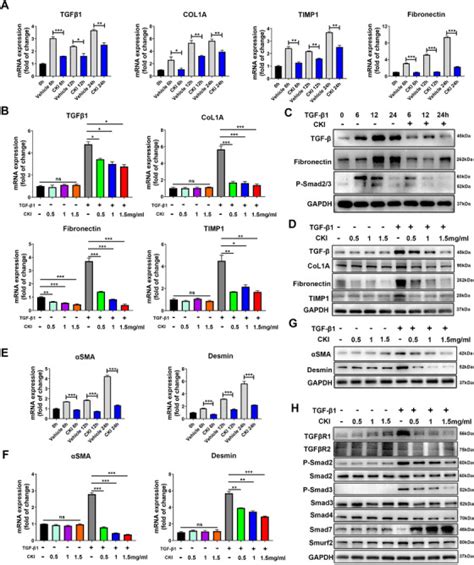 Rebalancing Tgf β Smad7 Signaling Via Compound Kushen Injection In