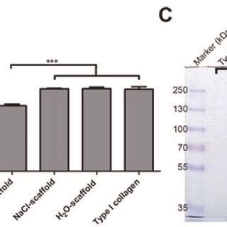 Biochemical And Biophysical Characterization Of Cacl Nacl And H O