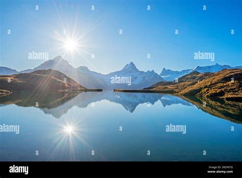sunrise  bachalpsee  wetterhorn schreckhorn finsteraarhorn