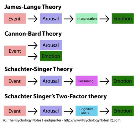 Theories of Emotion in Psychology - The Psychology Notes Headquarters