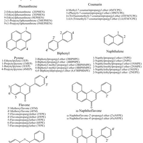 Structure of P450 enzyme 1A2 inhibitors belonging to nine core... | Download Scientific Diagram