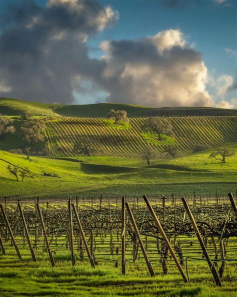 Savoring Earth Day Livermore S Sustainable Wineries Livermore Valley