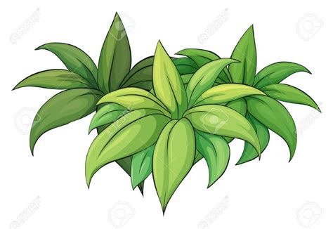 jungle plants clipart 10 free Cliparts | Download images on Clipground 2024