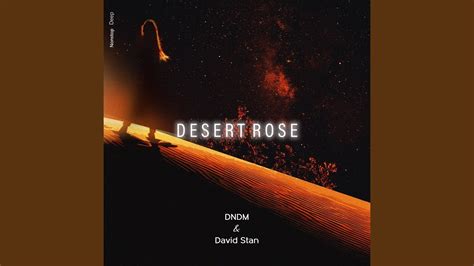 Desert Rose - YouTube Music