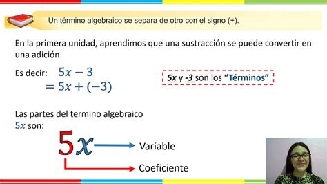 Términos y Coeficientes en las Expresiones Algebraicas YouTube