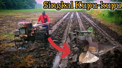 Traktor Sawah Membuat Guludan Bedengan Jagung Dengan Singkal Kupu Kupu