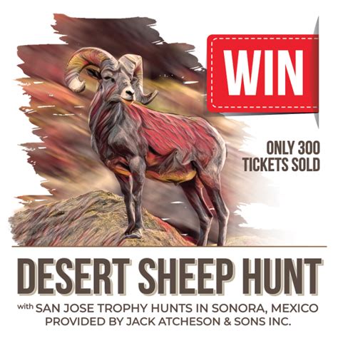 Montana Wsf Online Raffles Montana Wild Sheep Foundation