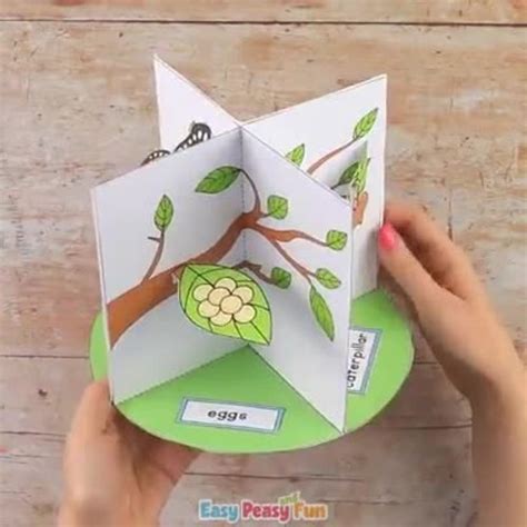 Butterfly Life Cycle Craft 3d Diorama Craft Activity By Easy Peasy