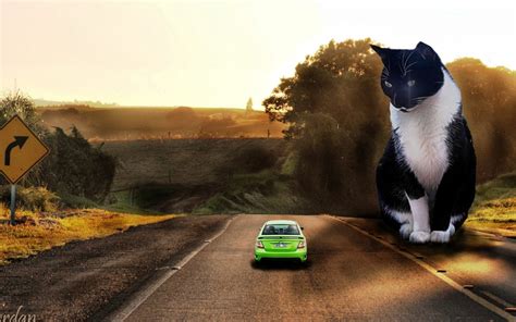 Wallpaper 1920x1200 Px Car Cat Digital Art Giant Landscape