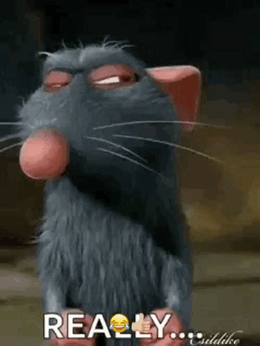 Ratatouille Remy GIF - Ratatouille Remy Really - Discover & Share GIFs