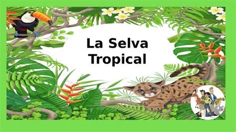 Spanish Rainforest Project La Selva Tropical Ks2 Teaching Resources