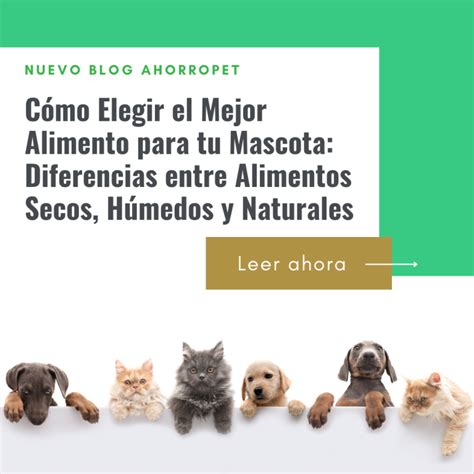 C Mo Elegir El Mejor Alimento Para Tu Mascota Diferencias Entre