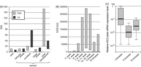 Normal Ranges Of A Serum Fsh And Lh Concentrations In Men And Women