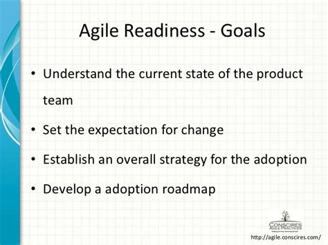 Agile Adoption