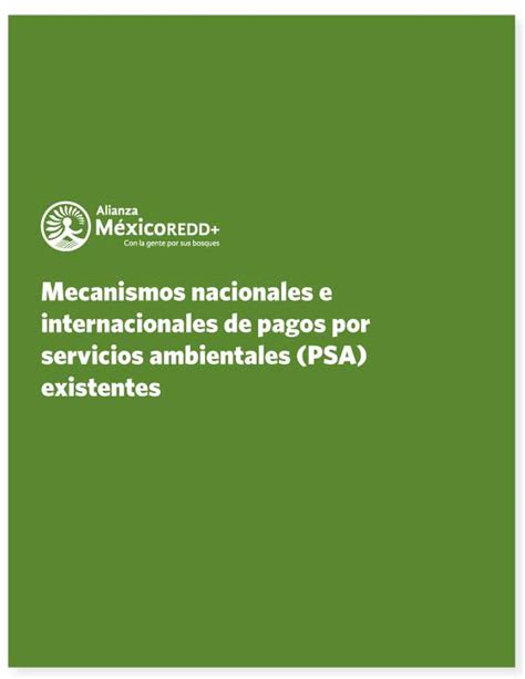 Mecanismos Nacionales E Internacionales De Pagos Por Servicios