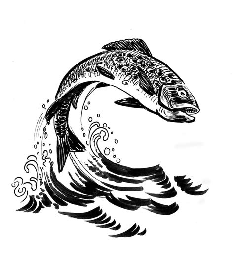 Premium Photo Jumping Salmon Fish Ink Black And White Drawing