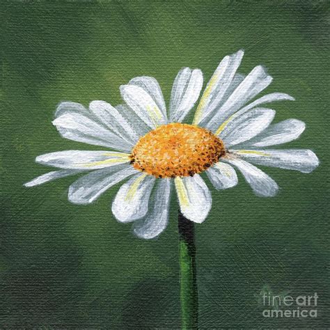 Pin By Brigitte C T On Painting How Tos In Daisy Painting