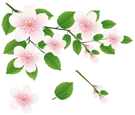 tree branch with flowers clipart 10 free Cliparts | Download images on Clipground 2024