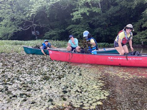 Aquatic Invasive Species — Otsego County Conservation Association