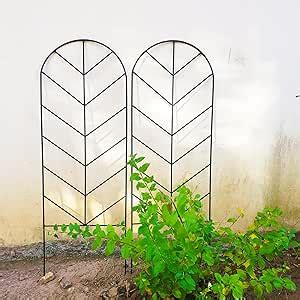 Amazon SCENDOR 2 Pack Trellis For Climbing Plants Outdoor 45 H X