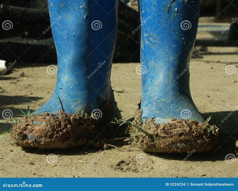 Dirty Shoes Stock Images - Image: 5224234